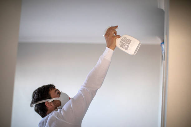 Best Home Mold Removal  in Colon, MI
