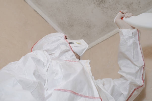 Best Emergency Mold Removal  in Colon, MI